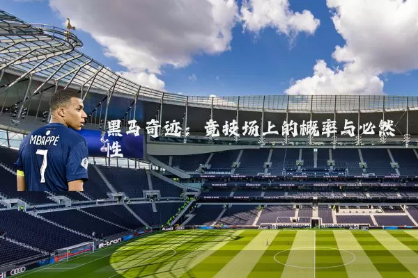 黑马奇迹：竞技场上的概率与必然性